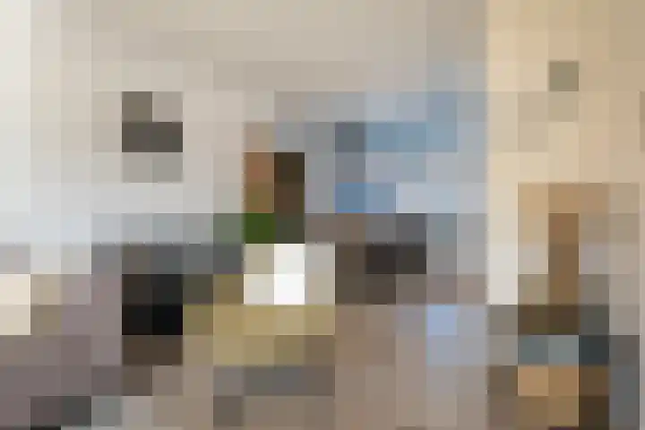 Anemoonstraat 14 Putte thumbnail 9