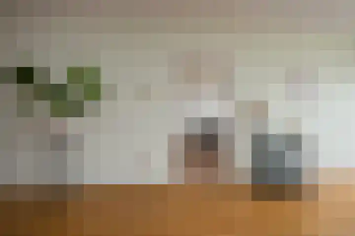 Anemoonstraat 147 Assen thumbnail 15