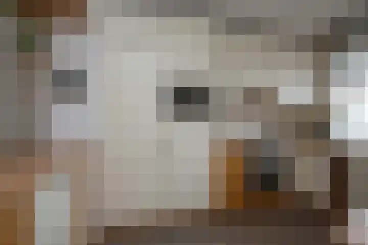 Anemoonstraat 147 Assen thumbnail 20