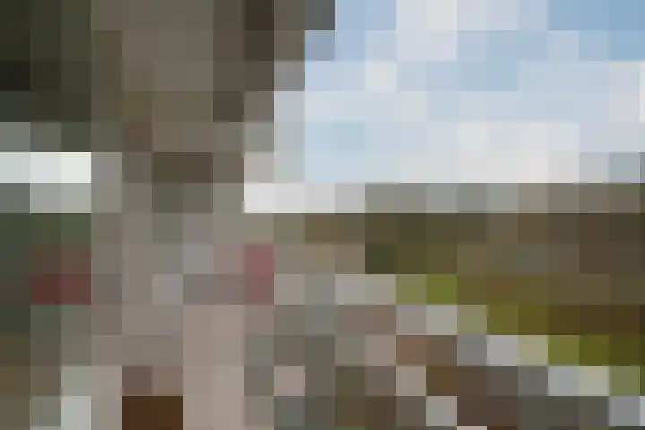 Anemoonstraat 147 Assen thumbnail 30