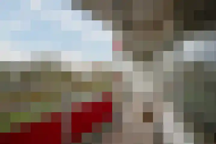 Anemoonstraat 147 Assen thumbnail 31