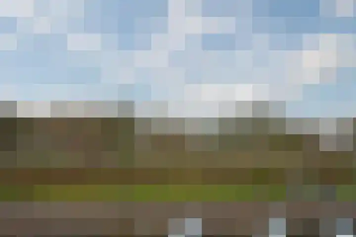 Anemoonstraat 147 Assen thumbnail 32