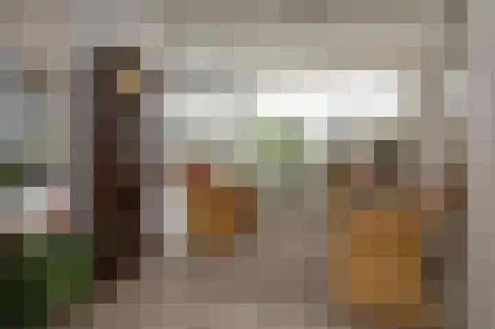 Anemoonstraat 147 Assen thumbnail 34