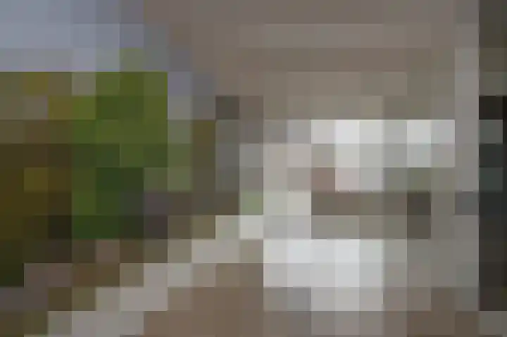 Anemoonstraat 147 Assen thumbnail 35