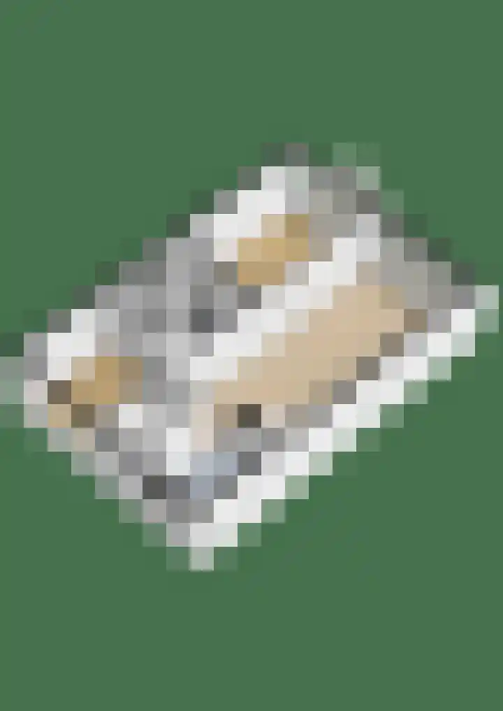 Anemoonstraat 147 Assen thumbnail 42