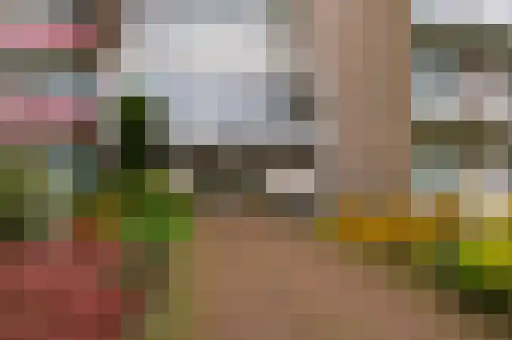 Anemoonstraat 147 Assen thumbnail 8