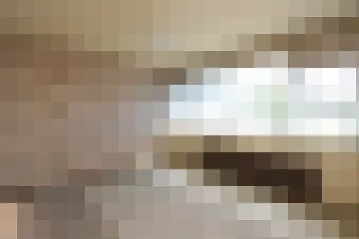 Anemoonstraat 15 Swifterbant thumbnail 13