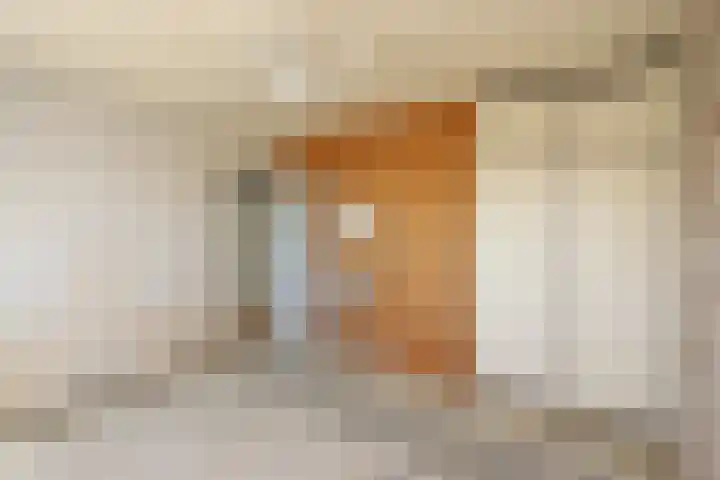 Anemoonstraat 15 Swifterbant thumbnail 14