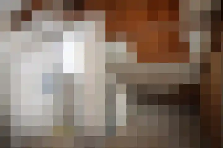 Anemoonstraat 15 Swifterbant thumbnail 26