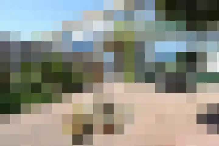 Anemoonstraat 15 Swifterbant thumbnail 32
