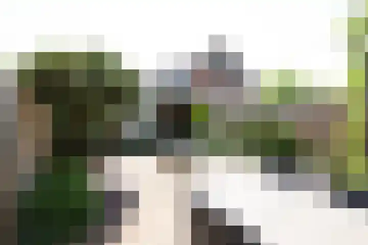 Anemoonstraat 15 Swifterbant thumbnail 33
