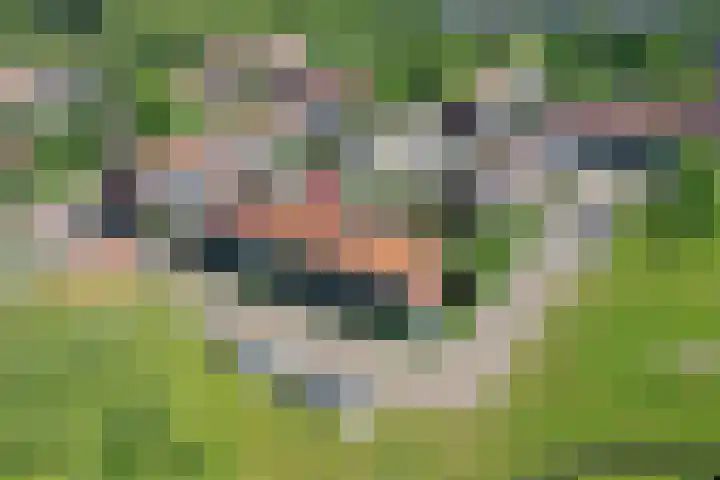 Anemoonstraat 15 Swifterbant thumbnail 5