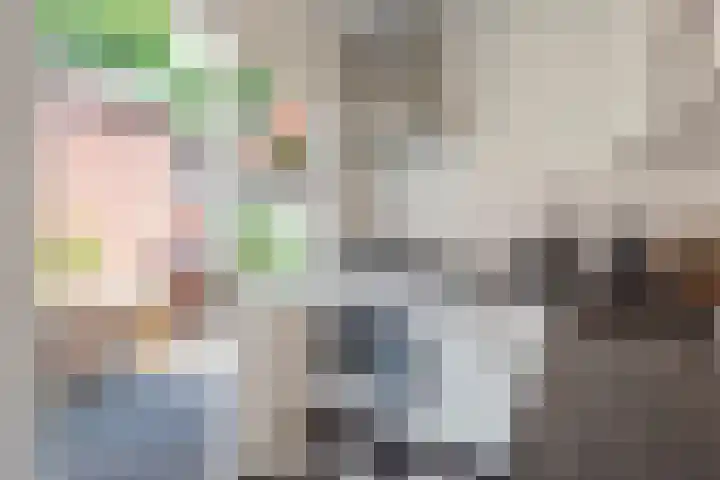 Anemoonstraat 16 Koog aan de Zaan thumbnail 10