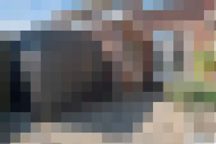 Anemoonstraat 16 Koog aan de Zaan thumbnail 12