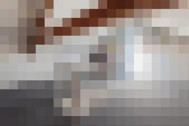 Anemoonstraat 16 Koog aan de Zaan thumbnail 25