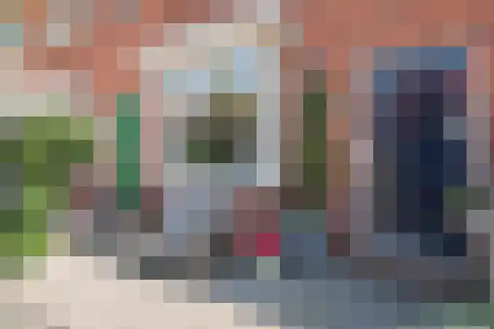 Anemoonstraat 16 Koog aan de Zaan thumbnail 27