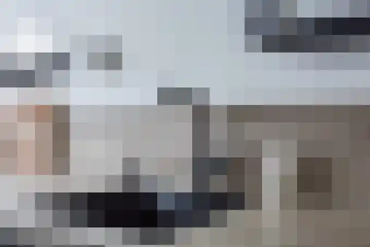 Anemoonstraat 17 Swifterbant thumbnail 17