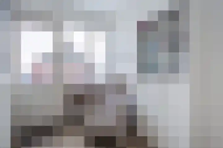 Anemoonstraat 17 Swifterbant thumbnail 33