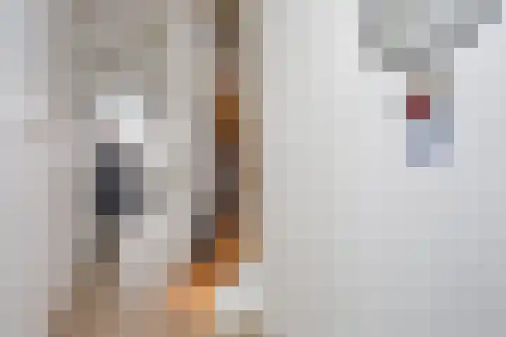 Anemoonstraat 17 Swifterbant thumbnail 4