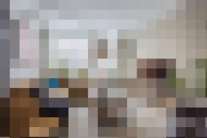 Anemoonstraat 17 Swifterbant thumbnail 7