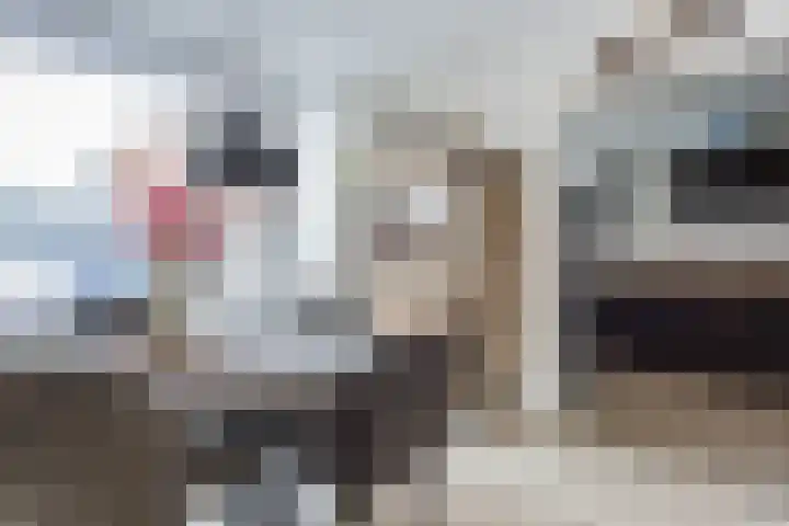 Anemoonstraat 17 Swifterbant thumbnail 8