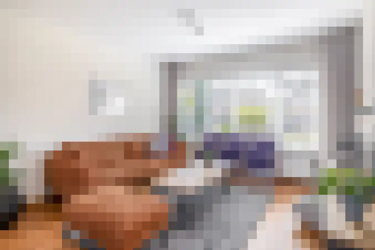 Anemoonstraat 18 Schijndel thumbnail 5