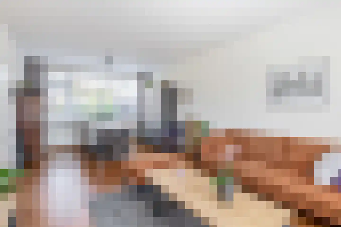 Anemoonstraat 18 Schijndel thumbnail 6