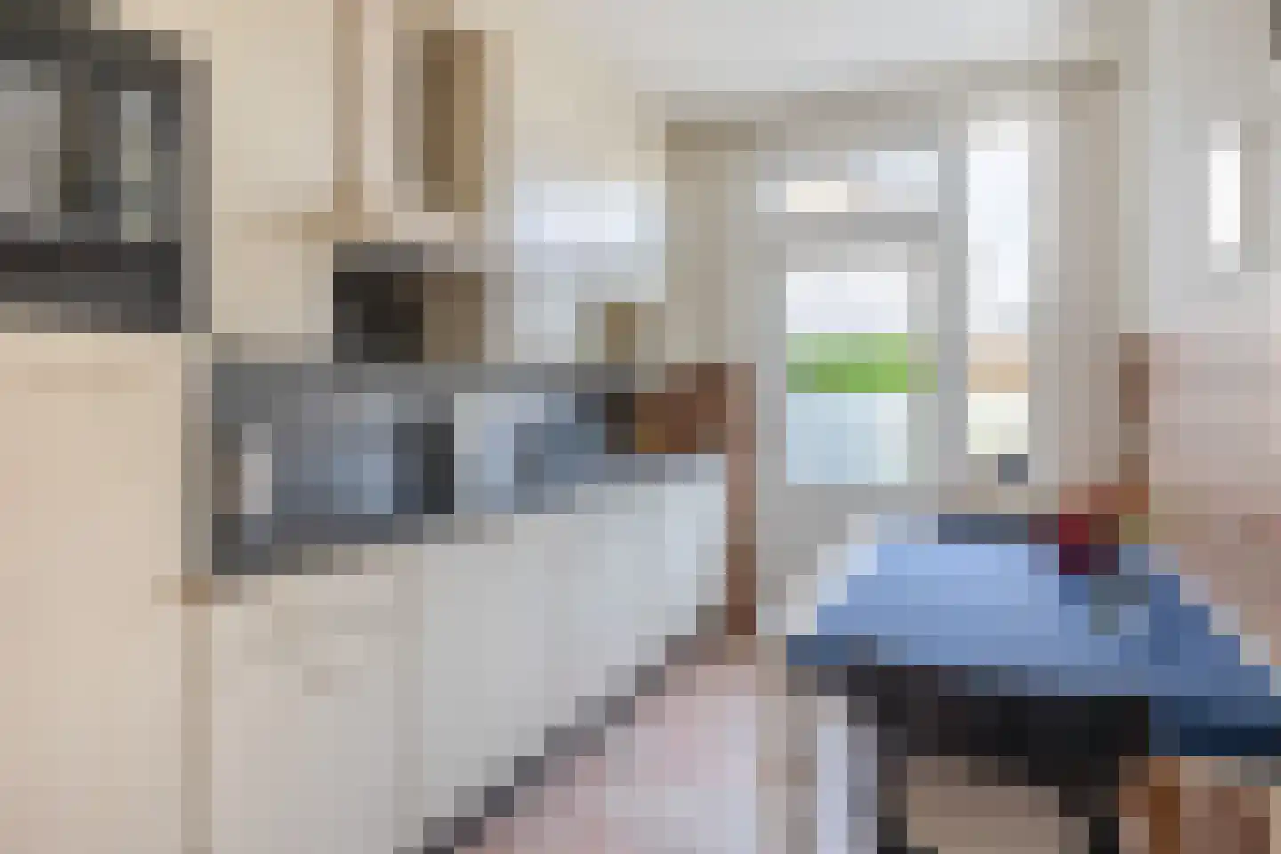 Anemoonstraat 18 Schijndel thumbnail 9