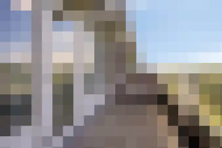 Anemoonstraat 187 Assen thumbnail 18