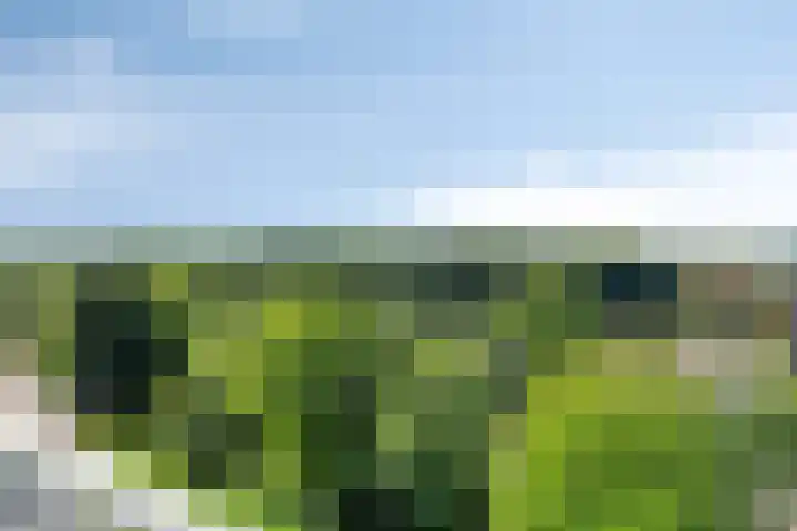 Anemoonstraat 187 Assen thumbnail 20