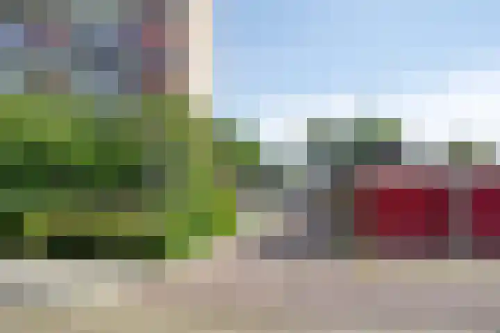 Anemoonstraat 187 Assen thumbnail 31