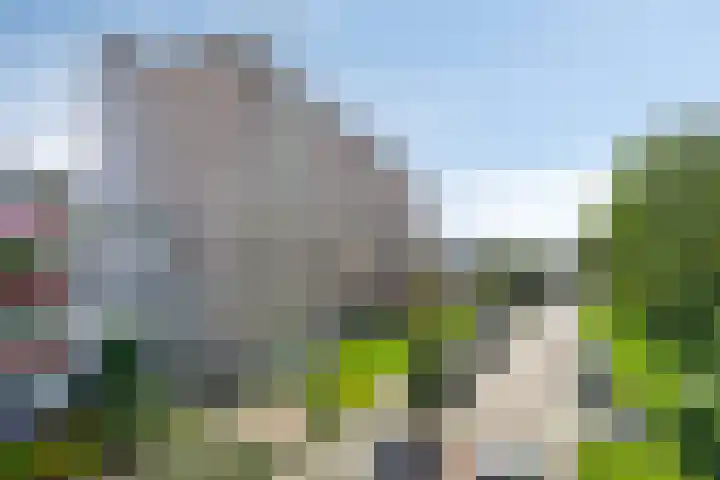 Anemoonstraat 187 Assen thumbnail 34