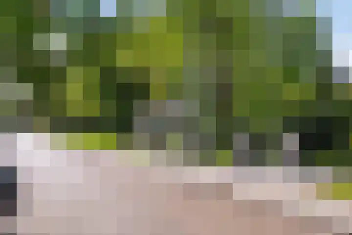 Anemoonstraat 187 Assen thumbnail 36