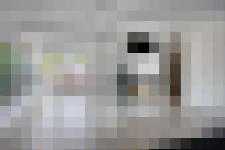 Anemoonstraat 187 Assen thumbnail 5