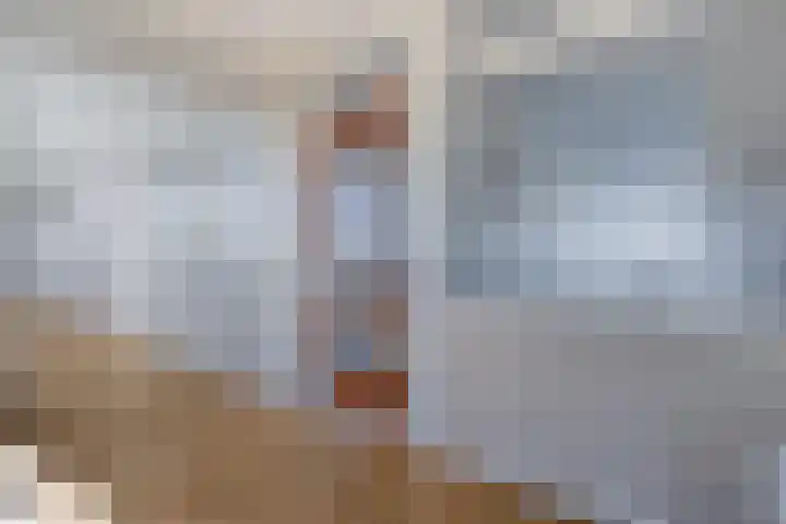 Anemoonstraat 187 Assen thumbnail 9