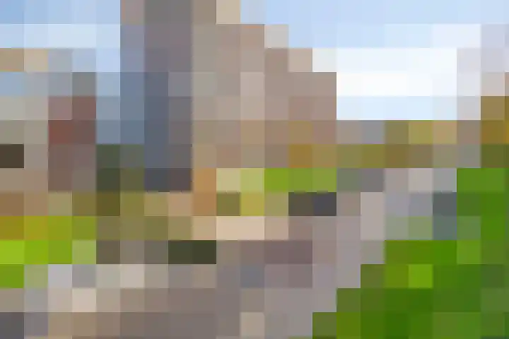 Anemoonstraat 189 Assen thumbnail 27