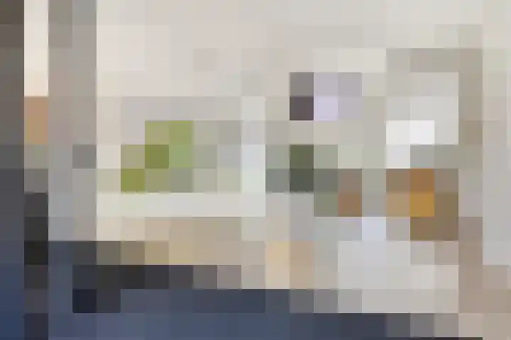 Anemoonstraat 189 Assen thumbnail 6
