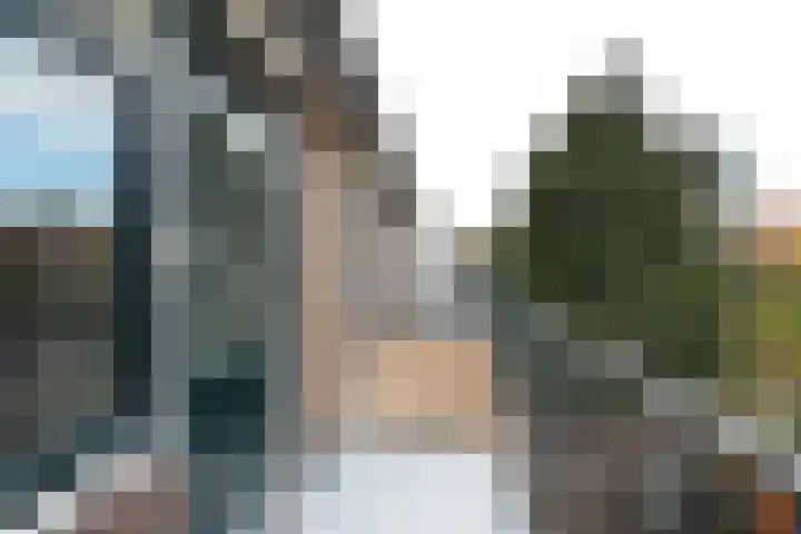 Anemoonstraat 19 Baarn thumbnail 24