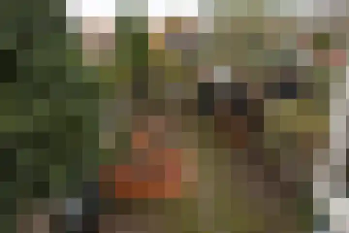 Anemoonstraat 19 Baarn thumbnail 25