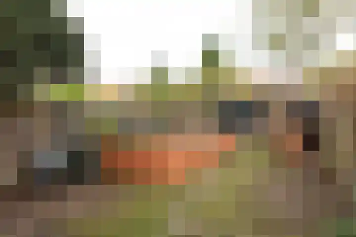 Anemoonstraat 19 Baarn thumbnail 26