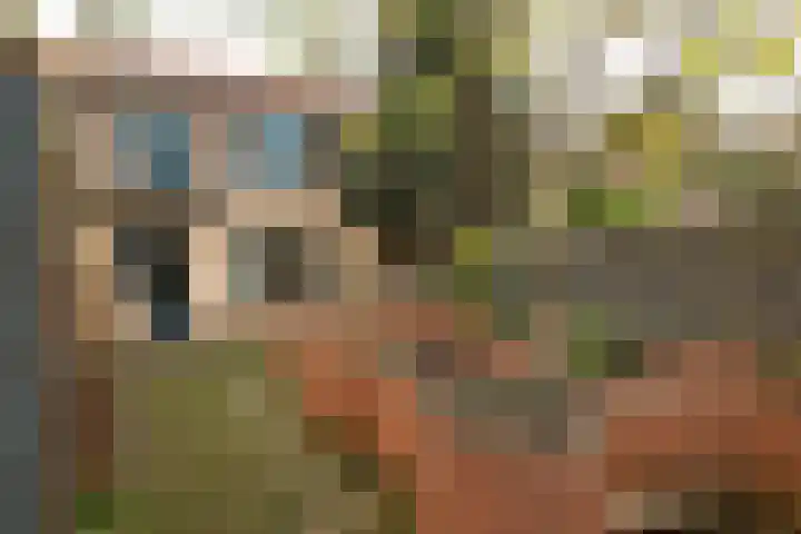 Anemoonstraat 19 Baarn thumbnail 30