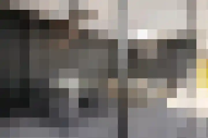 Anemoonstraat 19 Ittervoort thumbnail 31