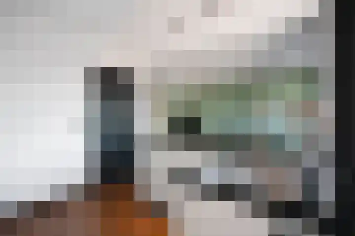 Anemoonstraat 19 Ittervoort thumbnail 9