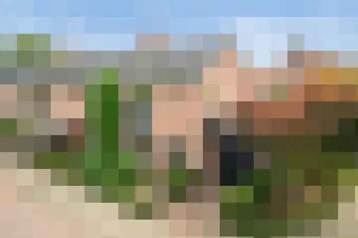 Anemoonstraat 2 in Olst