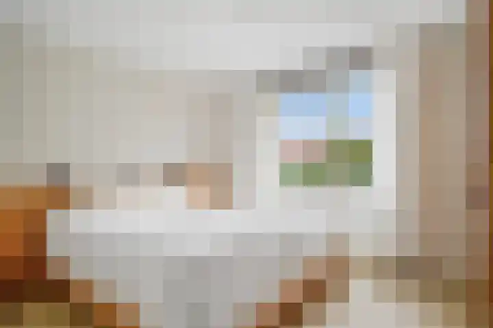 Anemoonstraat 2 Olst thumbnail 10