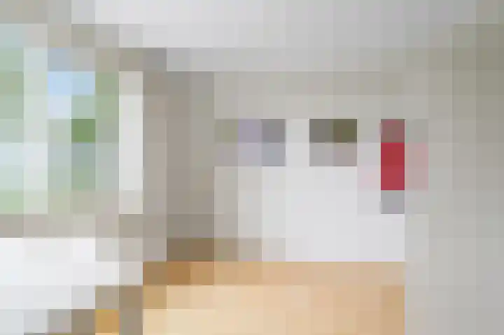 Anemoonstraat 2 Olst thumbnail 12