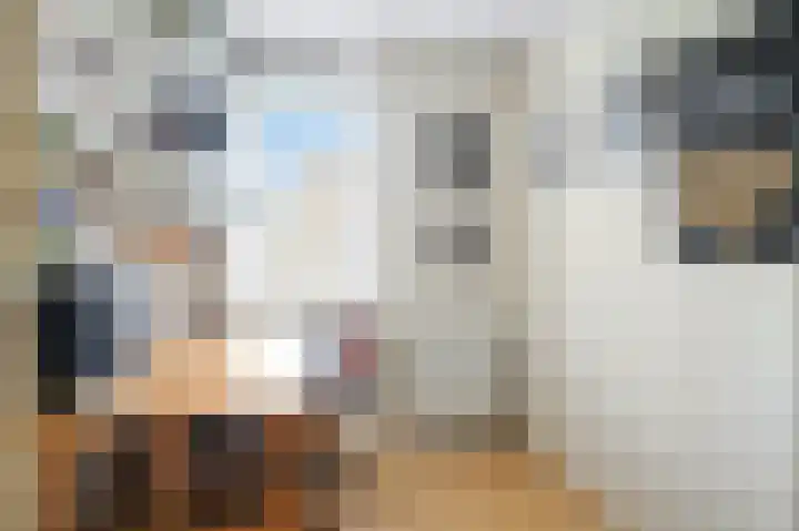 Anemoonstraat 2 Olst thumbnail 15
