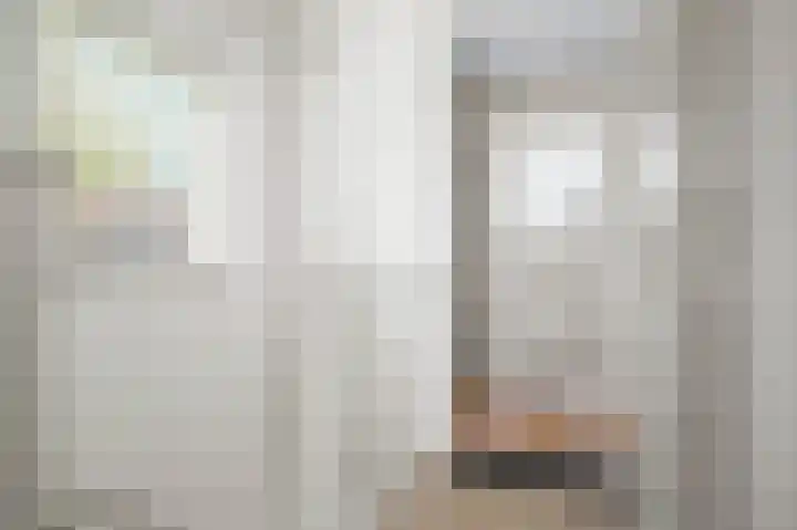 Anemoonstraat 2 Olst thumbnail 18