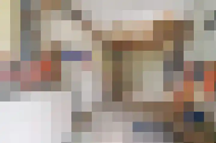 Anemoonstraat 2 Olst thumbnail 20