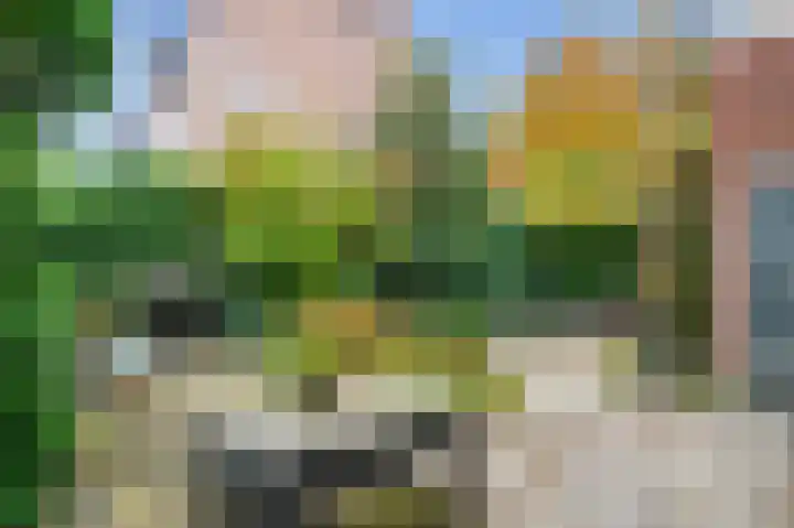 Anemoonstraat 2 Olst thumbnail 23